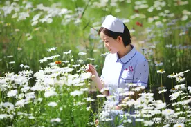 复兴区沁河郊野公园，邂逅壮观花海，致敬白衣天使图片
