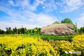 喜讯：滦南又一家AAA级旅游景区创建成功！图片