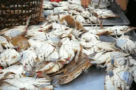 人间烟火回来啦！青岛下发通知，恢复“早夜市”图片