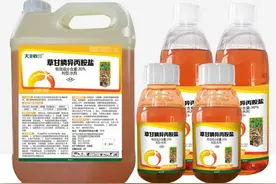 草甘膦VS草铵膦，一字之差却大不同，果园除草到底选哪个好？图片