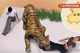 “八达岭老虎咬人事件”5年后，幸存的女人后来怎样了？图片