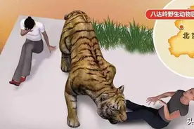 “八达岭老虎咬人事件”5年后，幸存的女人后来怎样了？图片