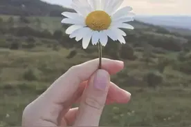 100首春天唯美古诗词图片