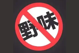 人大新规出台！水蛇娃娃鱼鳄鱼桂花蝉究竟还能不能吃？图片