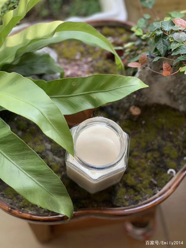 花胶放急冻变成干了怎么办 2026年花胶放急冻可以保存多久