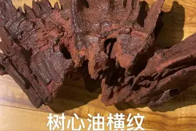 海南红土降真香的结香方式图片