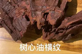 海南红土降真香的结香方式图片