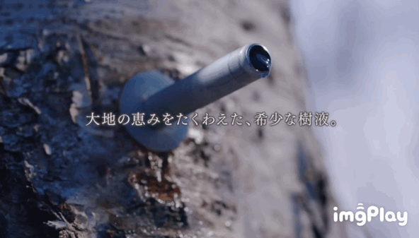 价值500000日元的限量版黛珂面霜也只是贵妇级护肤的入门？