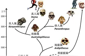从基因学看人类的起源和迁徙路线：现在所有人类都是晚期智人后代图片
