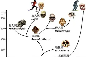 从基因学看人类的起源和迁徙路线：现在所有人类都是晚期智人后代图片