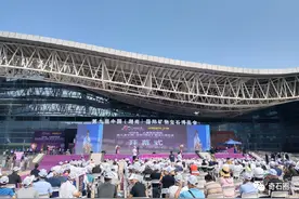 第九届中国（湖南）国际矿物宝石博览会一瞥图片