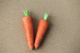 发芽的洋葱、黄豆、花生......到底哪些能吃，哪些有毒？一文告诉你图片