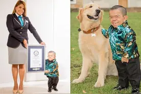 哥伦比亚34岁男子身高71厘米，第二次成吉尼斯在世最矮成年男子图片