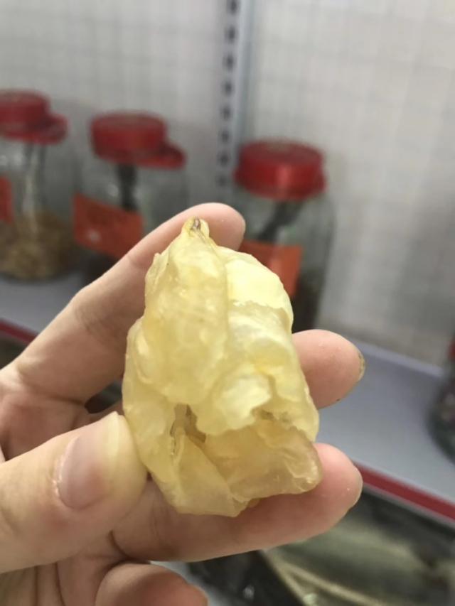 石斑鱼胶的功效和作用 石斑鱼胶的功效和作用及禁忌