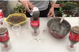 饮料瓶别浪费，他加点水泥变精美花盆，自动浇水，这操作我给满分图片