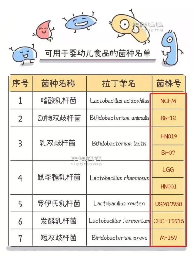 乳酸菌身体乳是啥