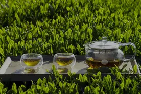 英国人有多爱喝茶？养起了一个立顿，打败中国7万家茶企图片