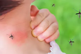 蚊子能传播80多种疾病，但是它不能灭绝，它对地球生态有多重要？图片