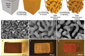 《Science》重磅：去合金制备分层高强轻质金属材料图片