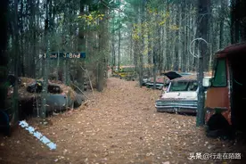 最值钱的废品：露天停放4200辆报废车，给再多钱也不卖图片