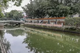 非洲肺鱼出没广州河道？市民捞起“半米黝黑大鱼”，不敢吃又放生图片