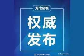 上海虹桥机场暂停所有境外航班图片