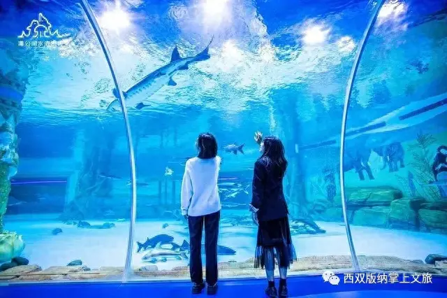 懒腰app逾期，森林公园湄公河水底世界门票多少价钱 配图03