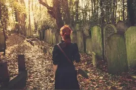 寡妇村（2）图片