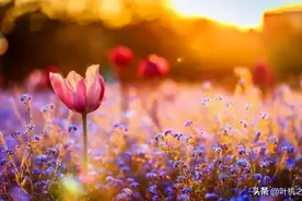 你不联系我，我也不联系你图片