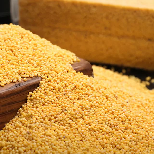 鍝噷灏忕背璐ㄩ噺濂斤紵鐗㈣4涓骇鍦帮紝钀ュ吇浠峰€奸珮锛岀叜绮ラ绯矘绋犵背娌瑰帤