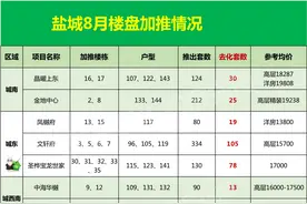 冷热不均！8月盐城楼市开盘结果如何？图片