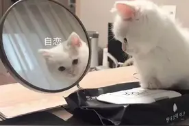 撒娇表情包：撩男朋友表情包图片