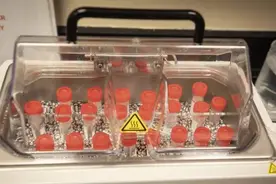 美法科学家：5年后仍或复发疫情！92˚C才能杀死病毒！50%无症状感染者或存在图片