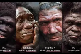 欧洲发现“外星人头骨”，最早至公元5世纪，见证罗马帝国兴衰！图片