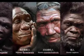 欧洲发现“外星人头骨”，最早至公元5世纪，见证罗马帝国兴衰！图片