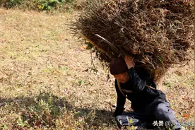 湖北姑娘远嫁陕西，老父亲也跟着过来了，和亲家公处成了亲兄弟图片