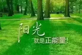 不再是从前那个少年图片