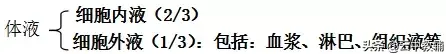 高中生物必修三知识点总结