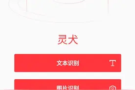 今日头条灵犬秒测歌词健康度？罗志祥的这些歌词涉低俗图片