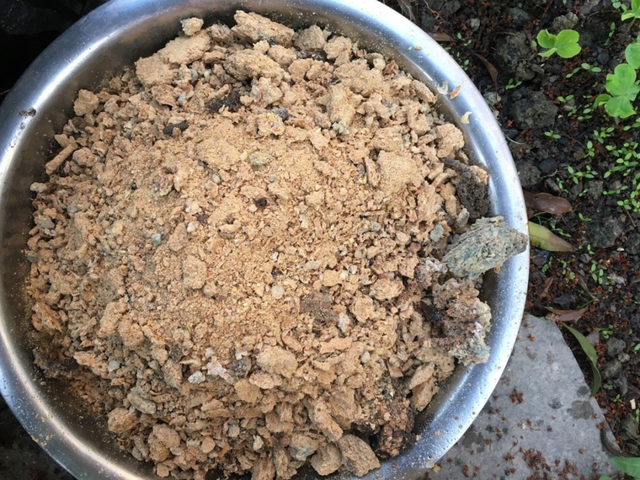 养分含量超高的营养土，自己在家也能做，省下一大笔 买花钱