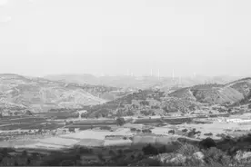 《这片土地》图片
