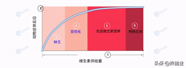 李曼大会听课笔记连载（二）（母猪营养、生长速度、应激、无抗）