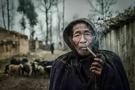从100只到30只，到2只，最后剩1只，杀死大凉山大熊猫的，是贫穷图片