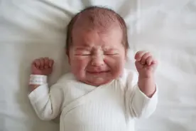 野生动物生下来就走路，为什么人类幼崽毫无生存力，难以抚养？图片