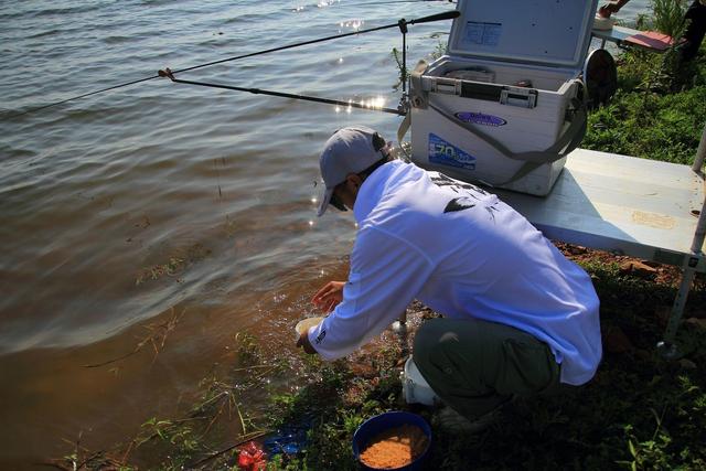 什么钓鱼最有效？氨基酸和维生素b钓鱼有用吗？详解钓鱼的误区