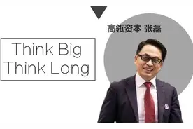 张磊和沈南鹏谁是私募一哥？张磊撮合的多起互联网合并或许是答案图片