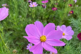 大家来讨论讨论山西长治这样一个五线城市房价图片