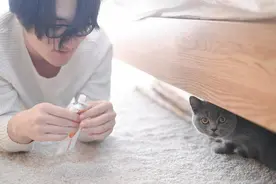 哪种男人性能力强？小便声音大能说明问题吗？图片