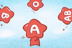 人的血型真的会影响性格吗图片