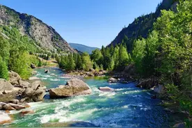 权威回应：对交通肇事罪的共犯是否应该吊证并终生禁驾？图片